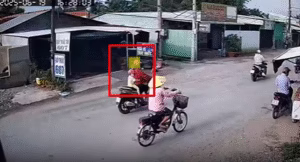 Mới biết bò thôi đã bị ép học bài “chọn lọc tự nhiên” giữa đường (Châu Thành – Tiền Giang)