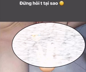 Bắc Ninh: pi tơ cũng biết “cắt đôi” nỗi sầu.. đăng story “đừng hỏi t tại sao”